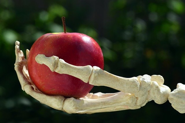りんごを持つ骨の手