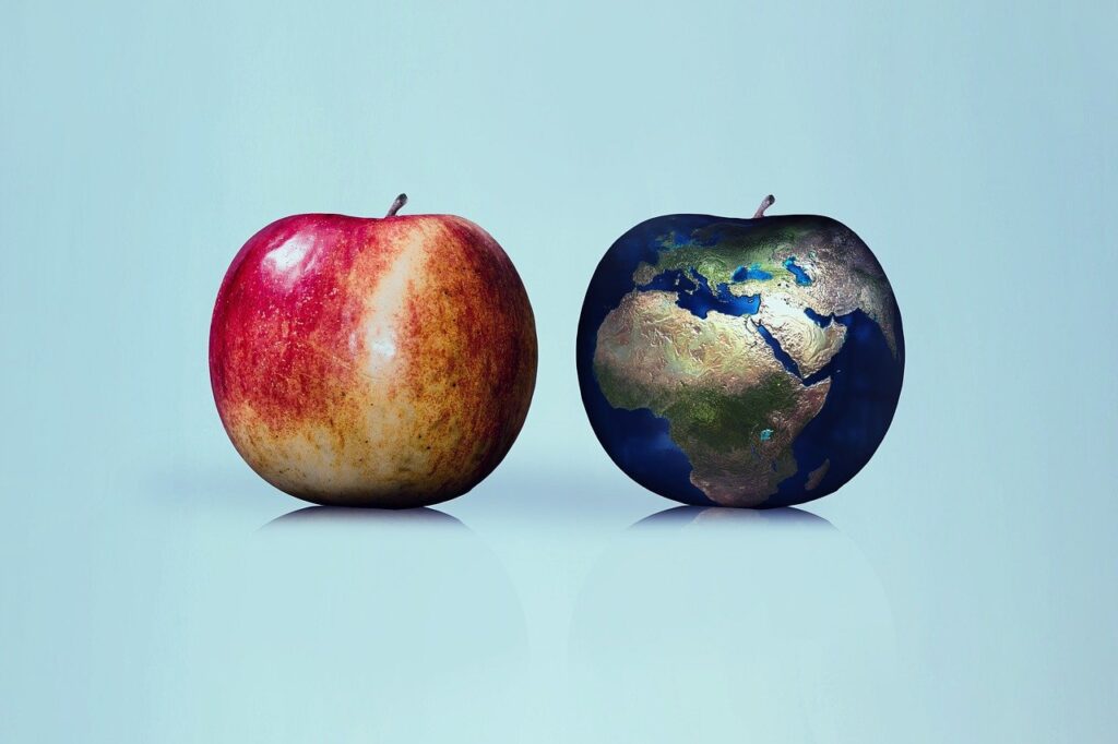 色違いの２つのりんご